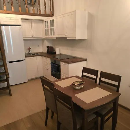 студио комфорт в центъра на град Apartman