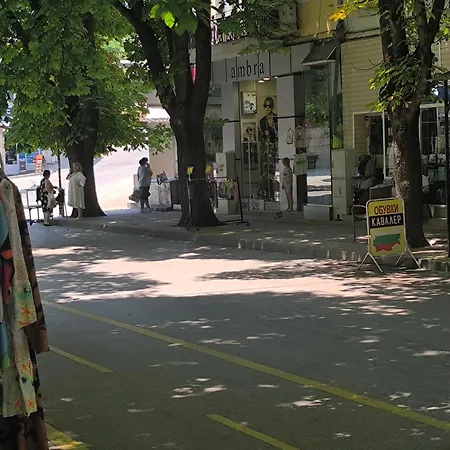 студио комфорт в центъра на град Apartman *